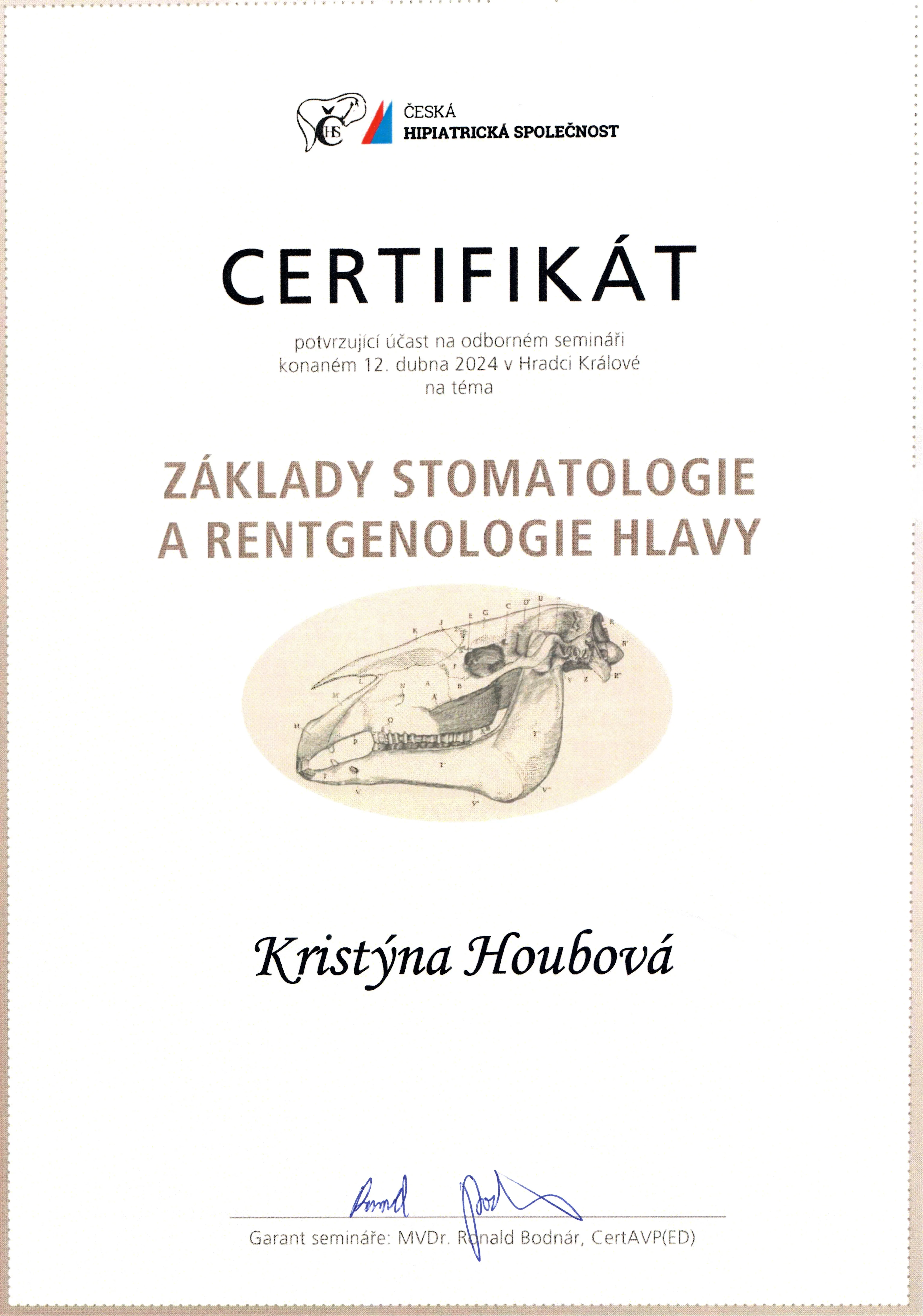Stomatologie a rentgenologie hlavy – Česká hipiatrická spol.
